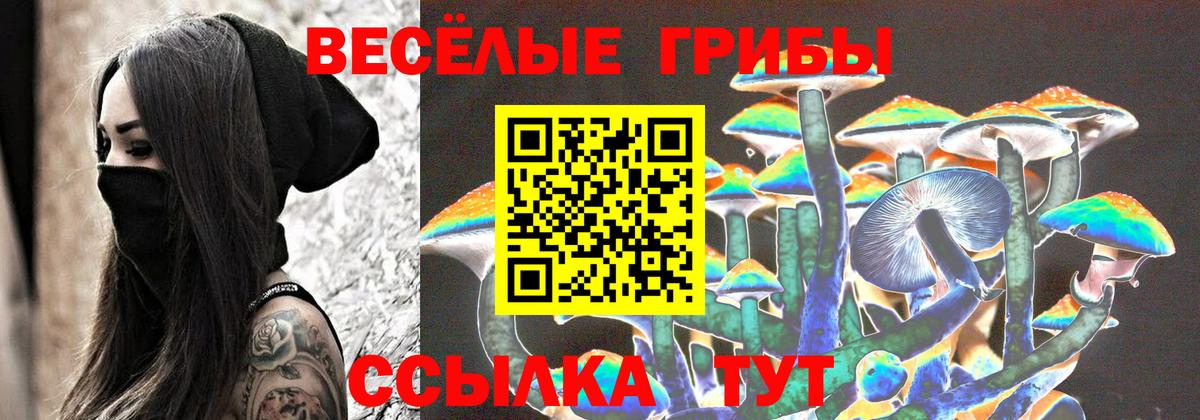 Галлюциногенные грибы прущие грибы  Вход с VPN  Советск 