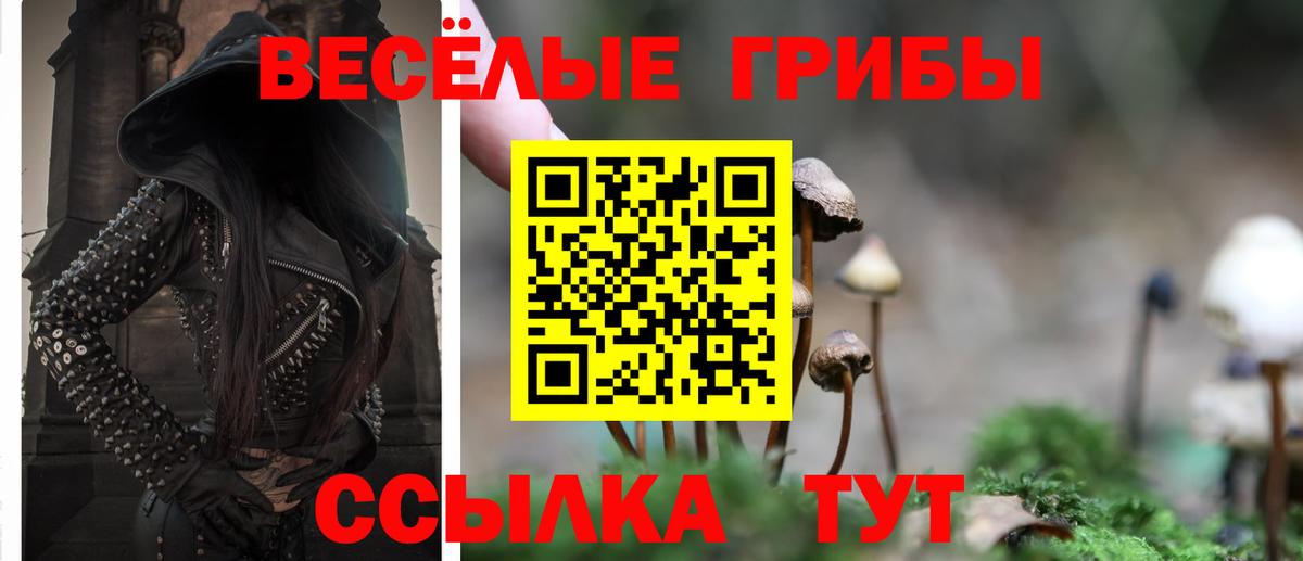 Псилоцибиновые грибы мухоморы Советск